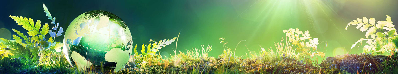 Интересные обзоры Интересные обзоры